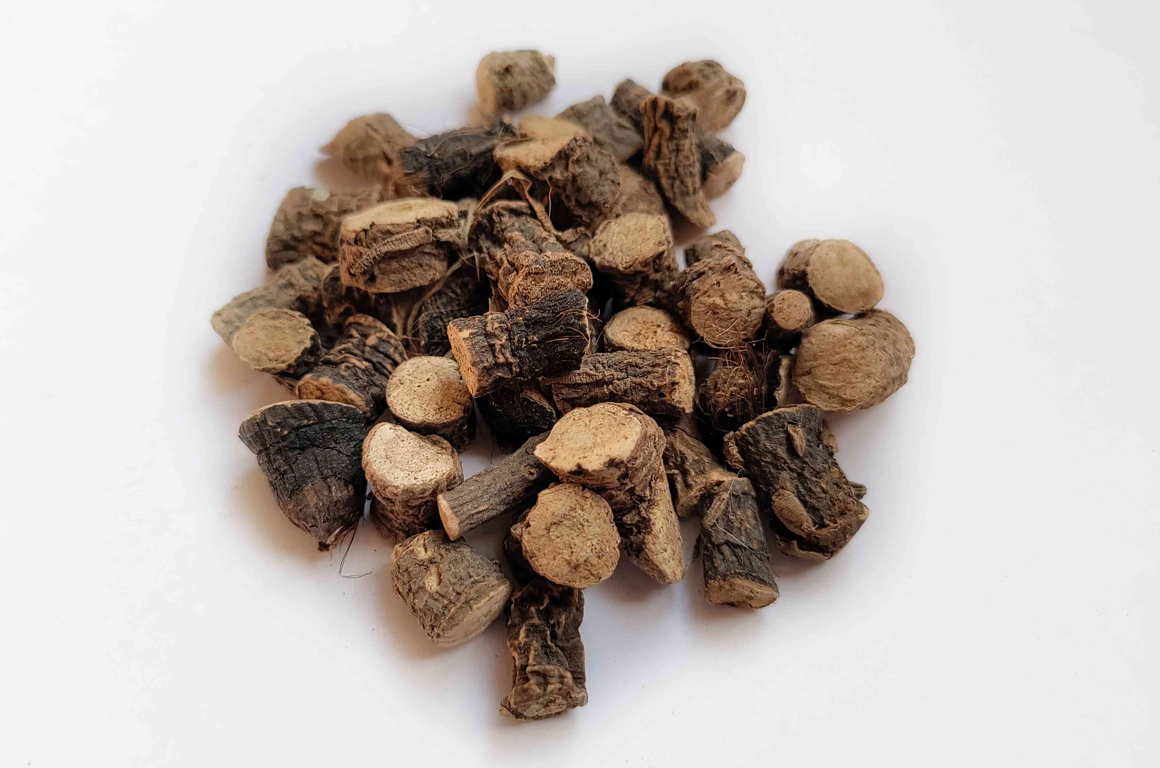 Curculigo Orchioides Wholesale Manufacturer & Supplier in India
